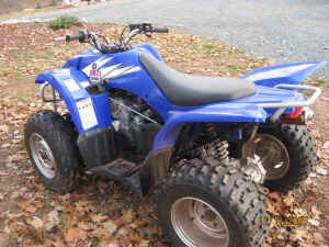 Picture of 2006 Yamaha Raptor 450