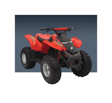 Picture of 2006 Can-Am Bombardi DS 90